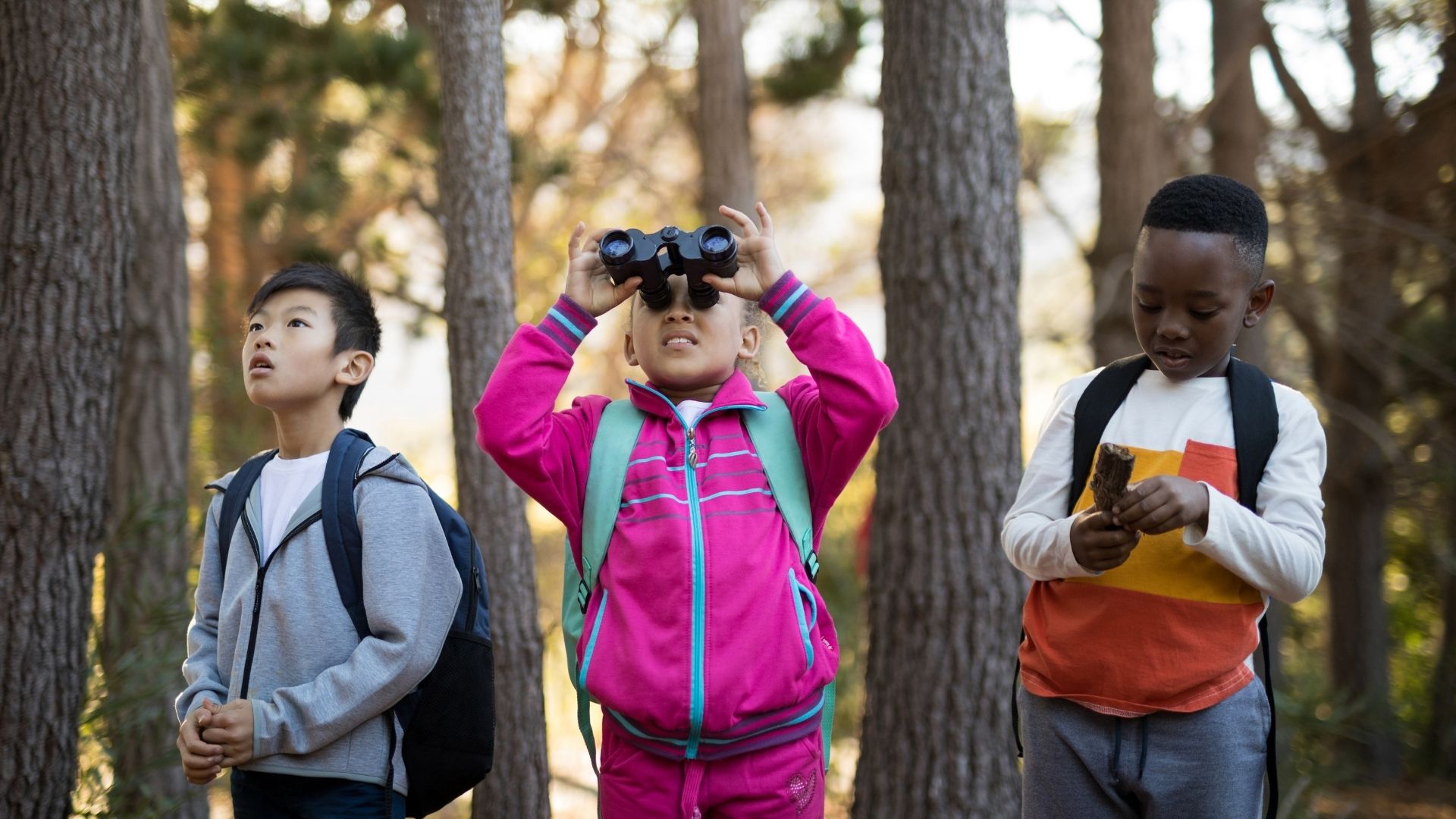 three children looking at nature in a forest