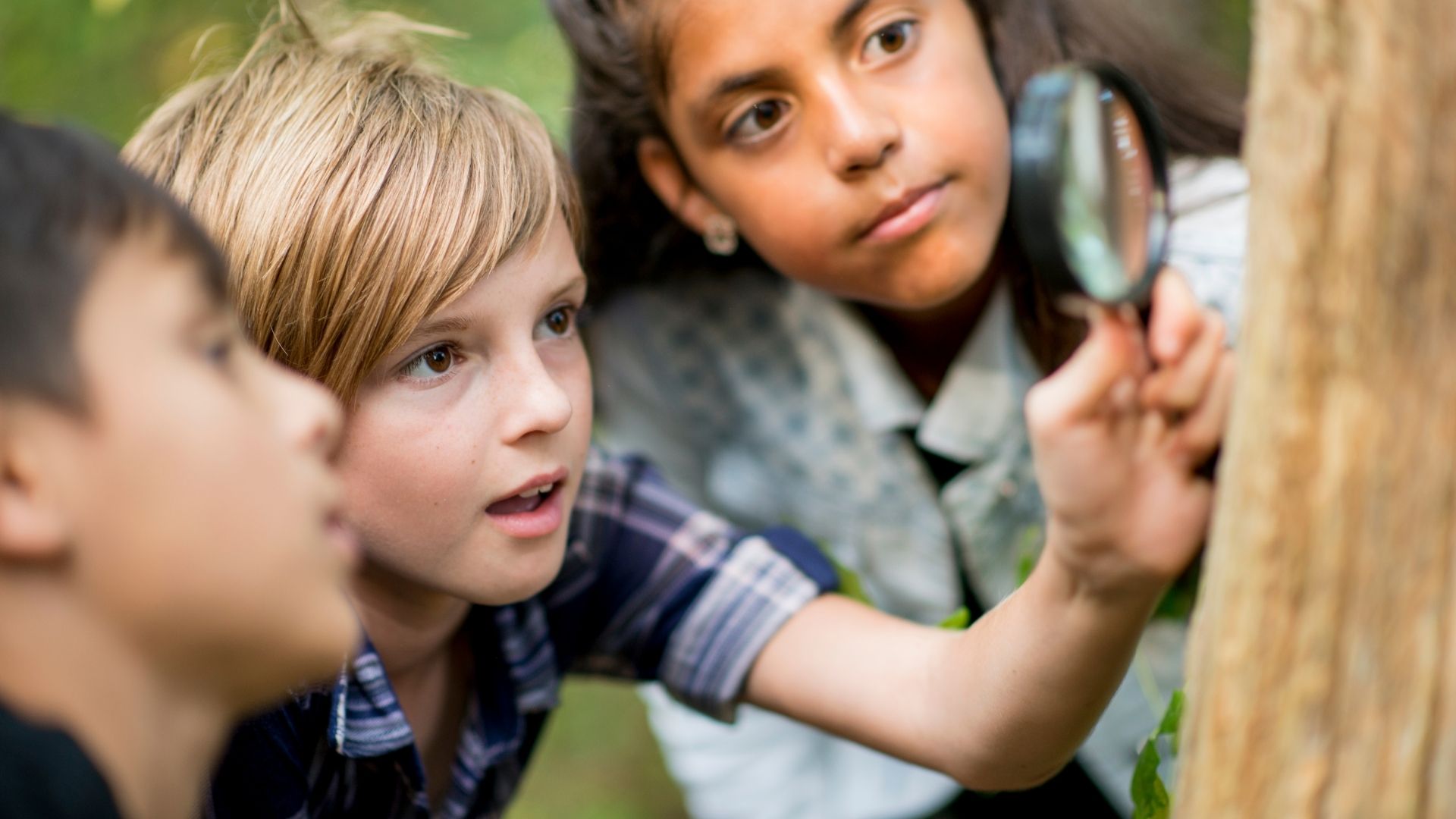 three children looking at tree with magnifying glass