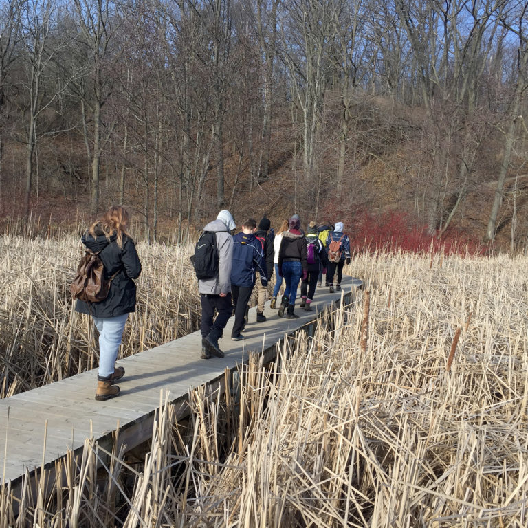 Yes Alliance hiking A Boardwalk Trail