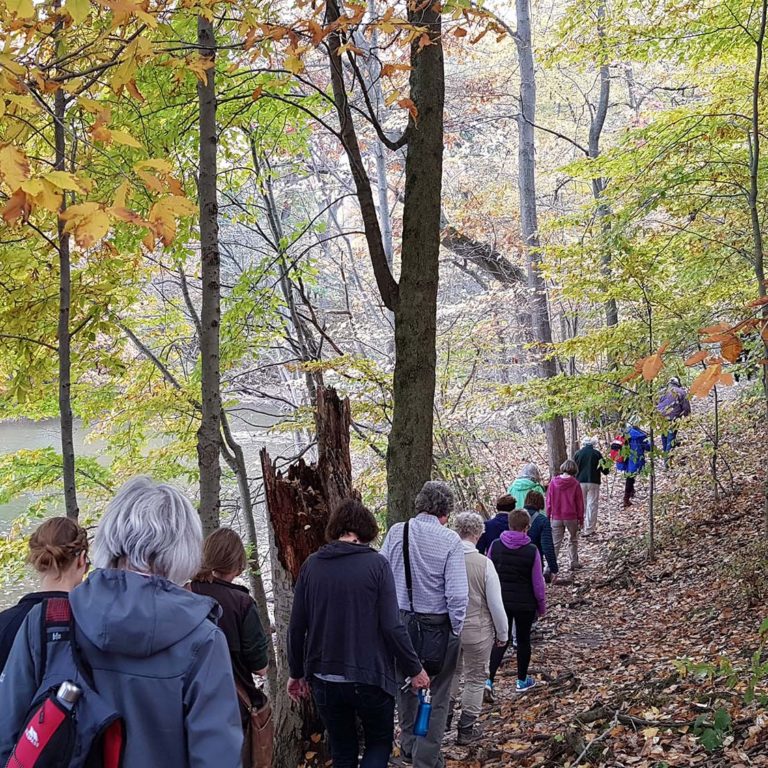 Back To Nature Hike Group On Trail