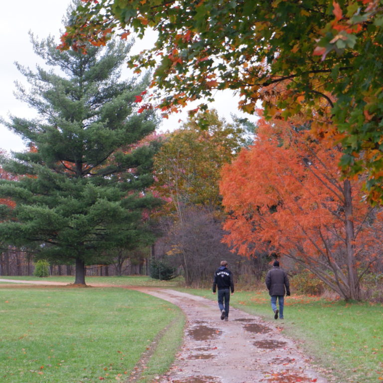 Hikers Walking Down Pinetum Trail In Fall