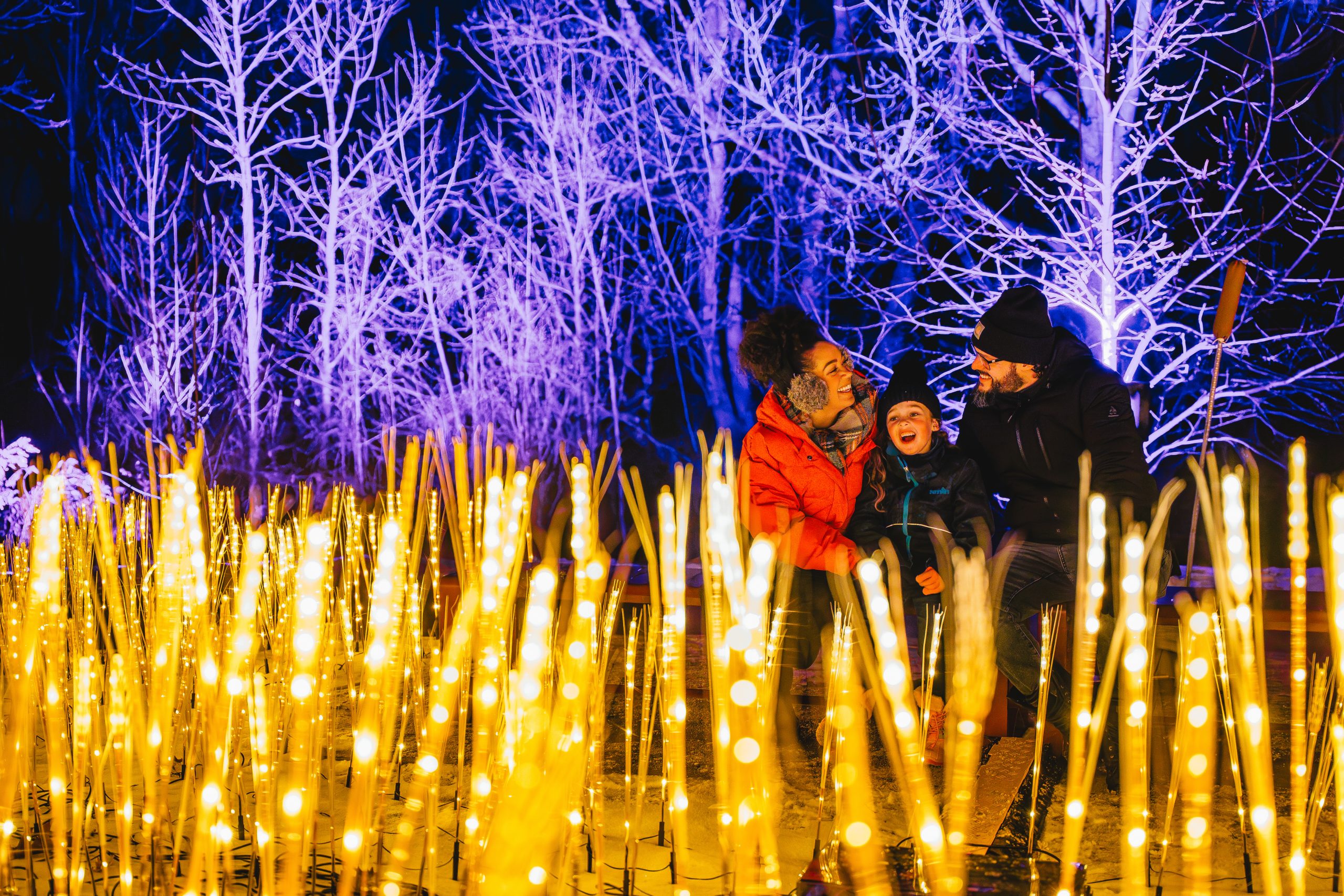 Winter Wonders - Royal Botanical Gardens