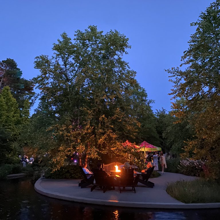 guests sitting around a firepit and milling about the lower Rock Garden area at After Dark event