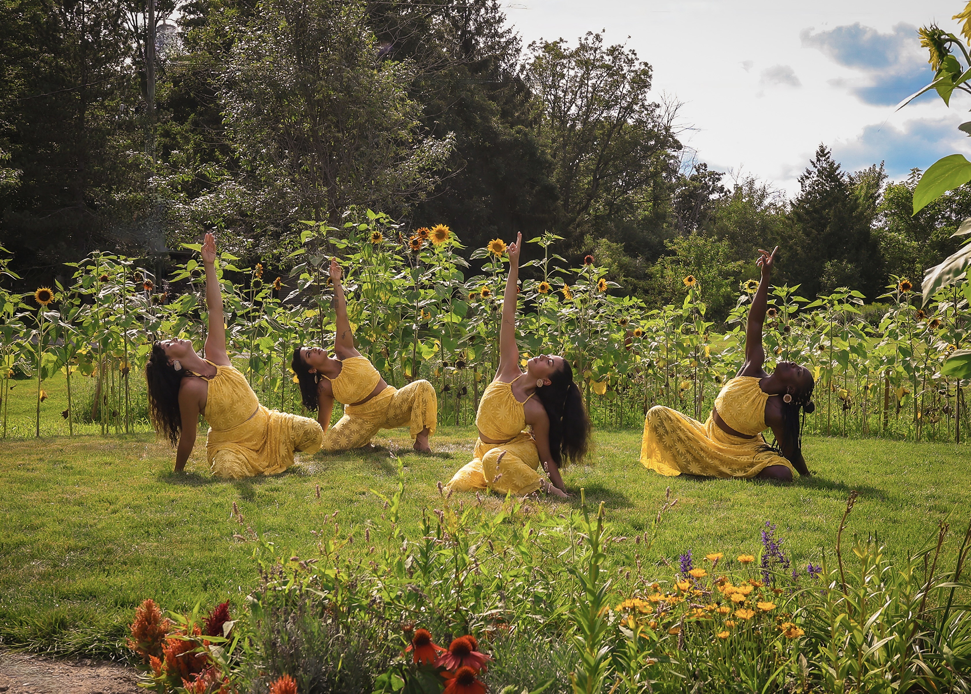 indigenous dancers dressed in yellow perform in front of sunflowers