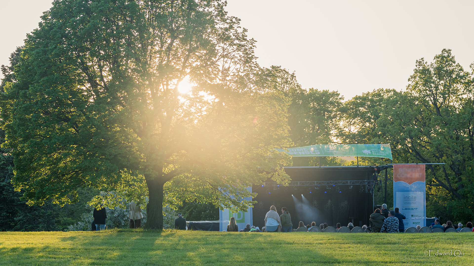 Benefit concert in mitchell's field. The setting sun is shining through a large tree in the foreground