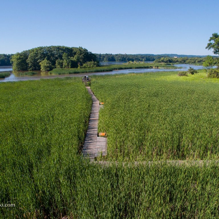 Boardwalk through a wetland at cootes paradise credit-markzelinski
