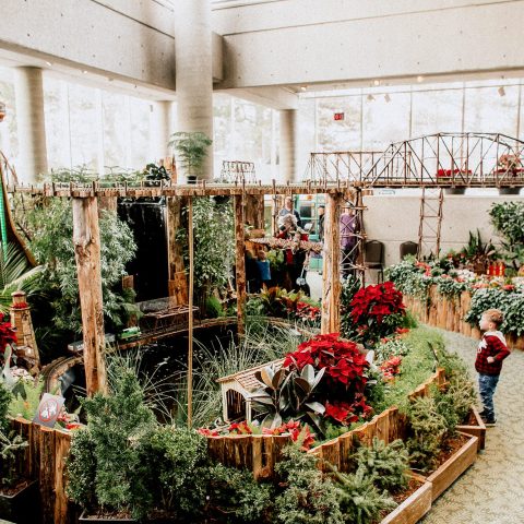 RBG Centre - Royal Botanical Gardens