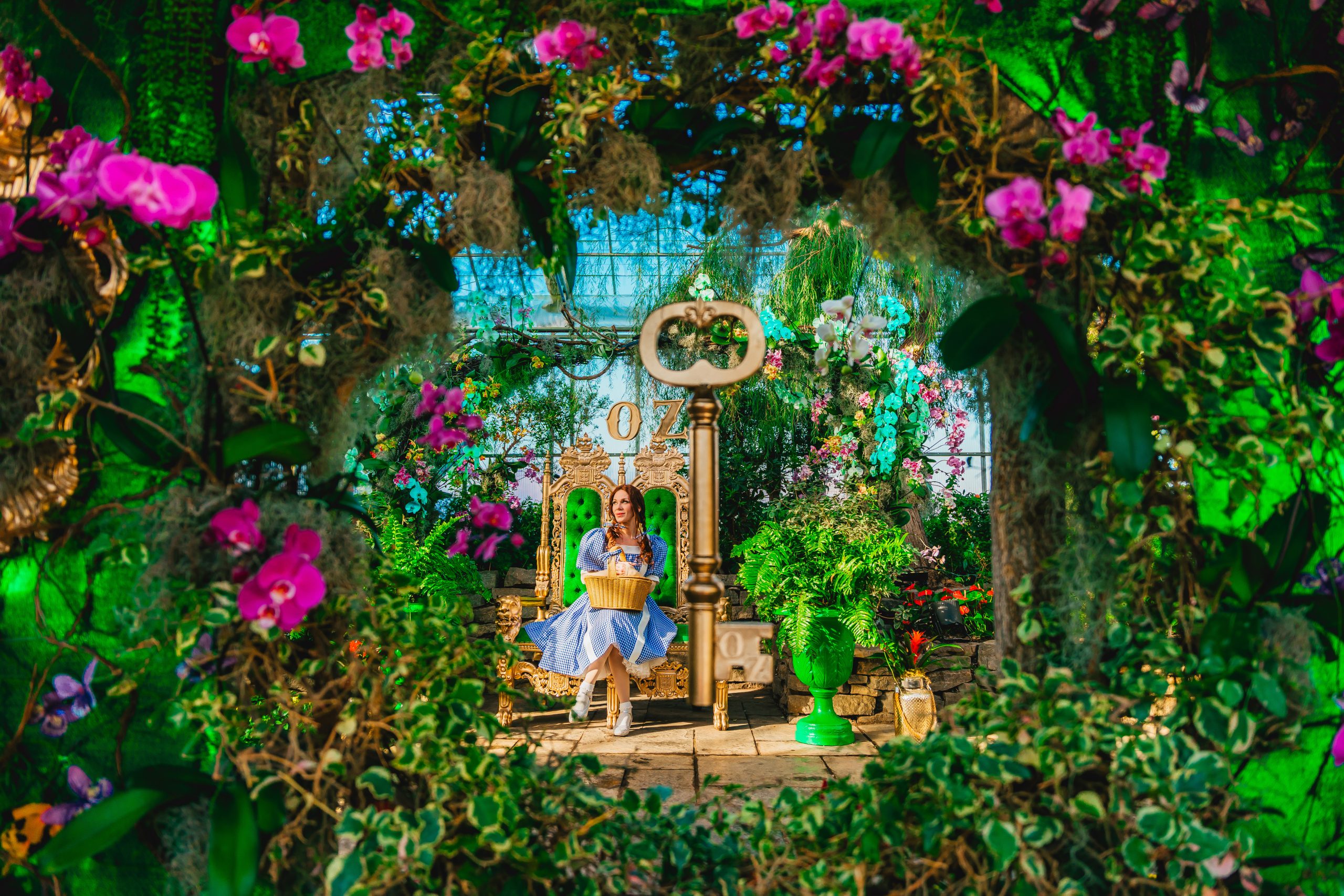 (極レア美品CD) RosenFeld ...In The Garden Amazon.co.jp: ROSENFELD/IN THE GARDEN/LIVE CD/AION/ジャパメタ