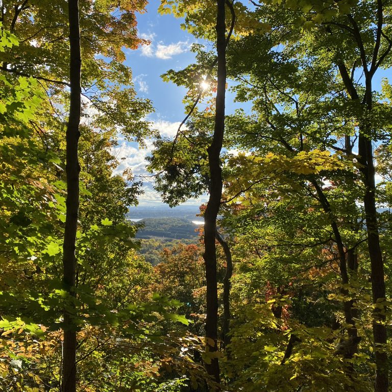 view peaking out between trees over the escarpment