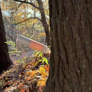 TreeAzin Treatment - Hemlock Tree Close-up of a tree trunk with a small injection device inserted into the bark for TreeAzin treatment.