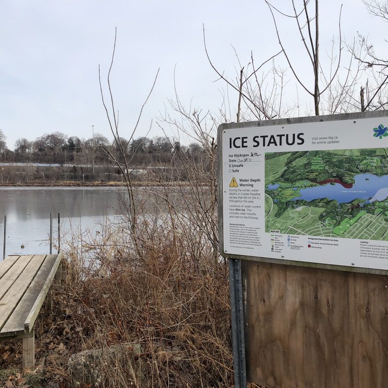 Ice thickness sign at Princess Point