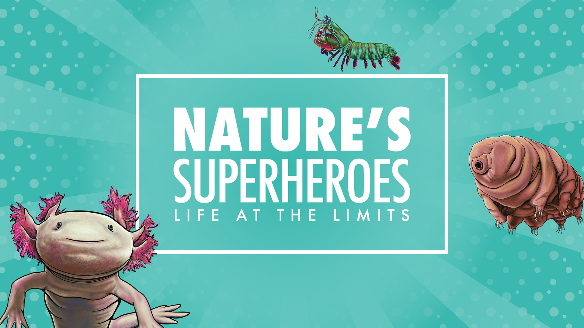 Nature's Superheroes: Life at the Limits