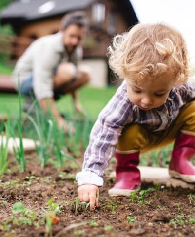 RBG-Little-Sprouts-1179964518-toddler toddler playing in vegetable garden while adult looks on