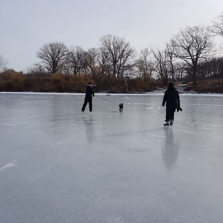 Skating at Princess Point