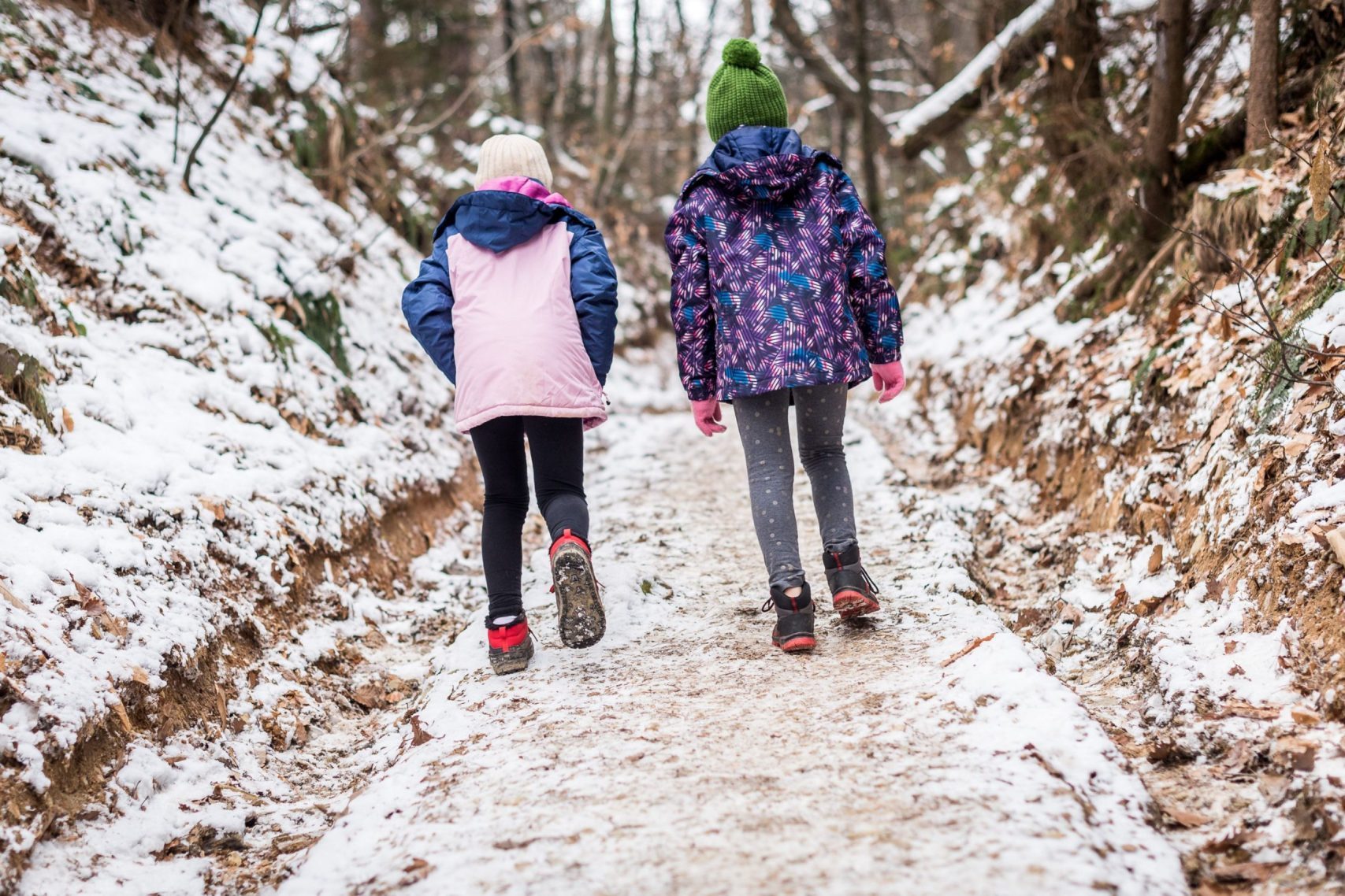 RBG Winter Day Camp 2026