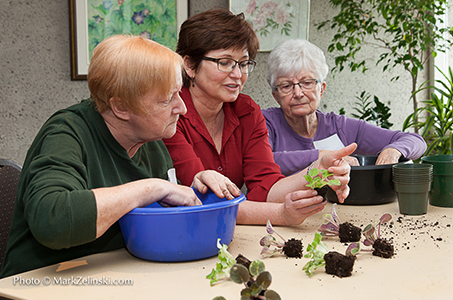 Horticultural Therapist showing 2 seniors how to plant seedlings in a classroom setting