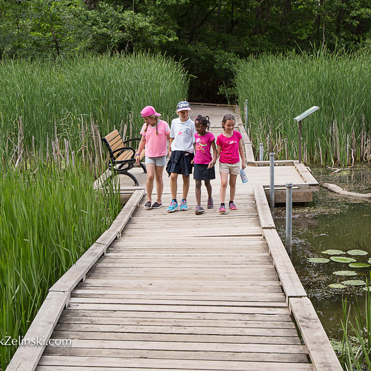 Girls Walking Down Boardwalk In Marsh Credit Markzelinski.com