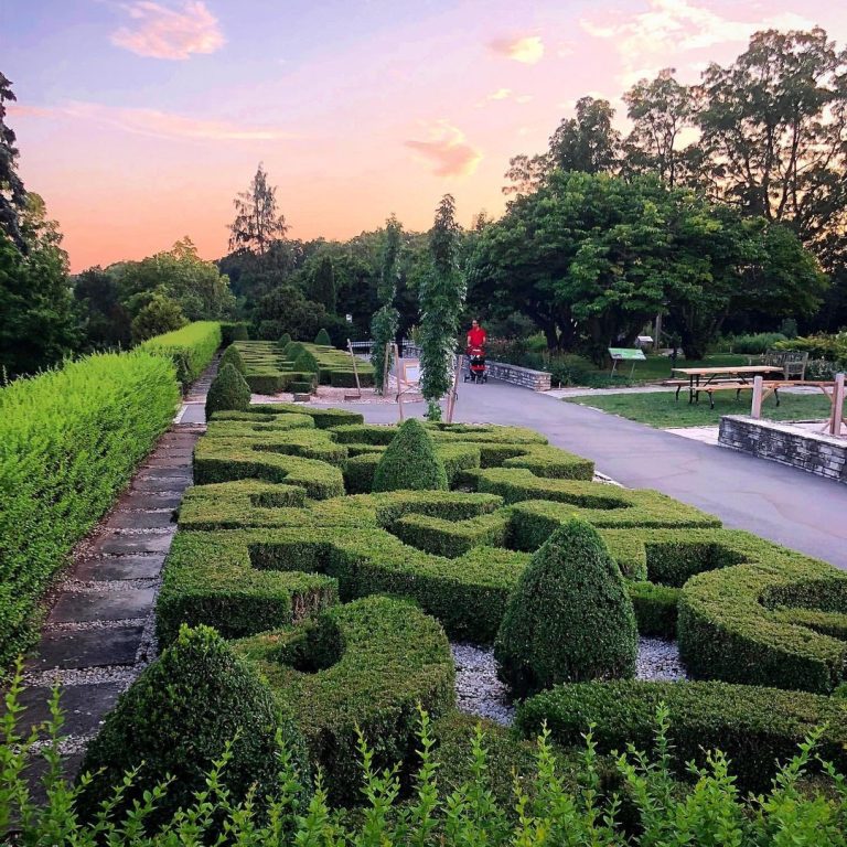 Cotton candy coloured sunset over the hedges at Laking Garden