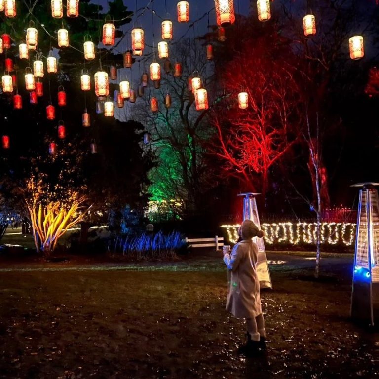 Child standing under the floating lanterns at Winter Wonders