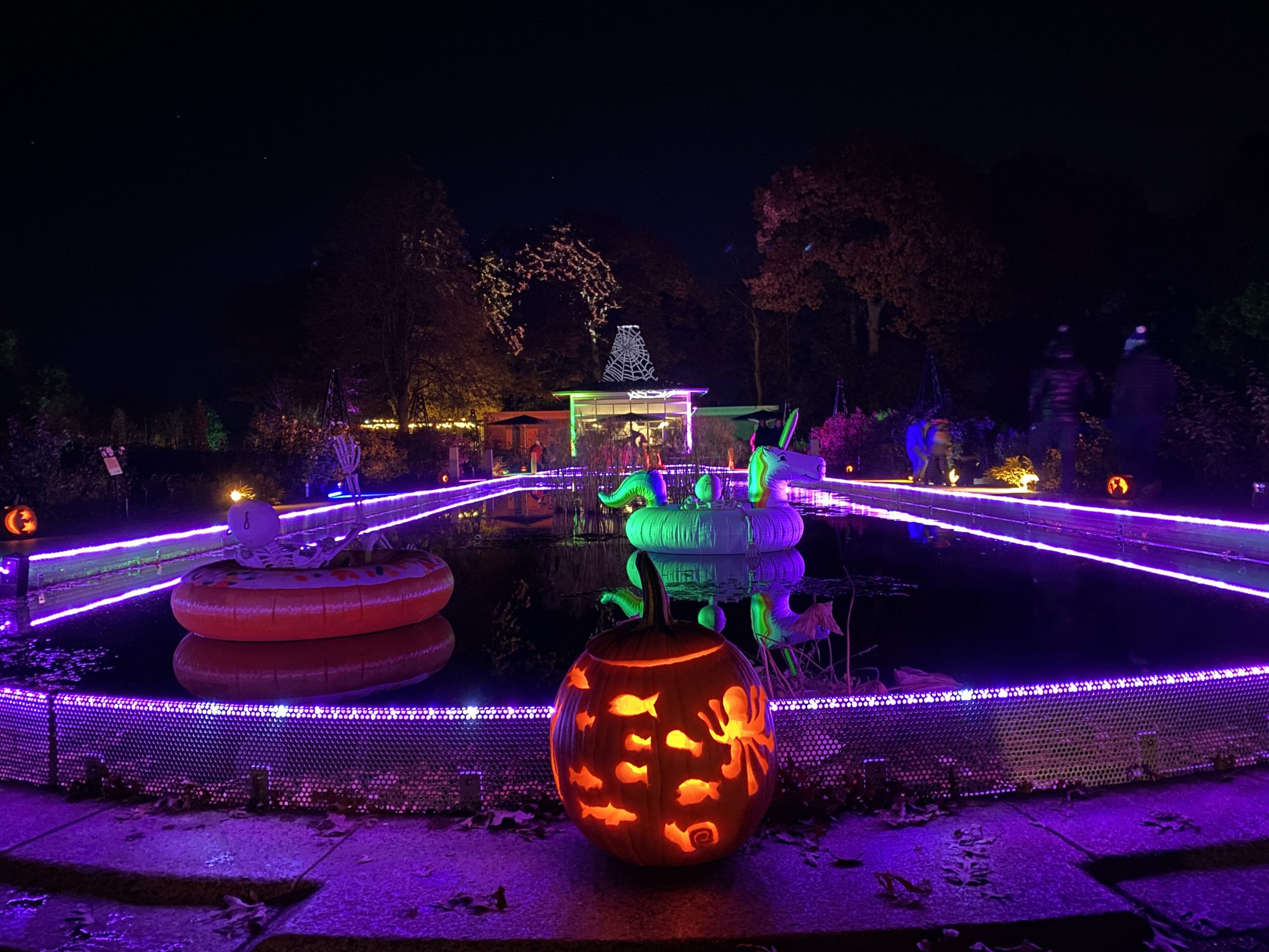A jack o lantern decorated with fish sits at the end of the reflecting pond all lit up at night, skeletal forms floating in the water