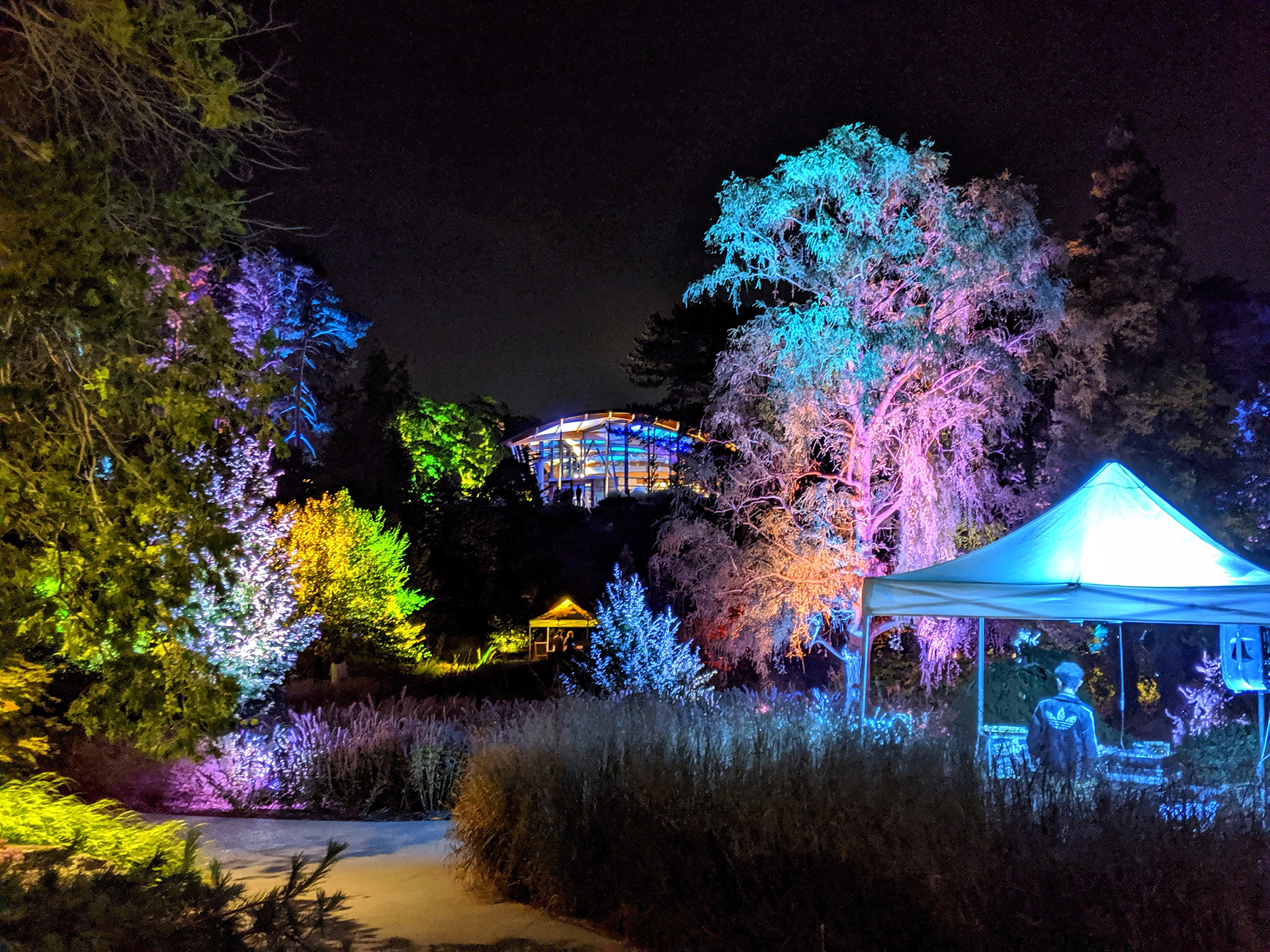 View of rock garden from the lower bowl at night, all lit in pastel colours