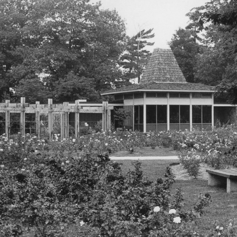 Rose Garden Pergolas