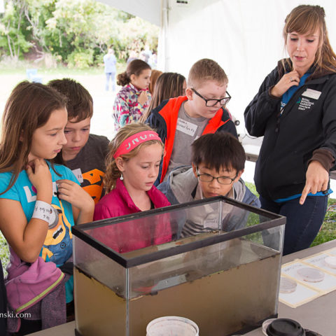 Summer Camps Royal Botanical Gardens