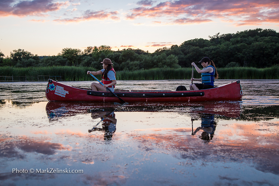 Canoeing On Cootes Paradise At Sunset