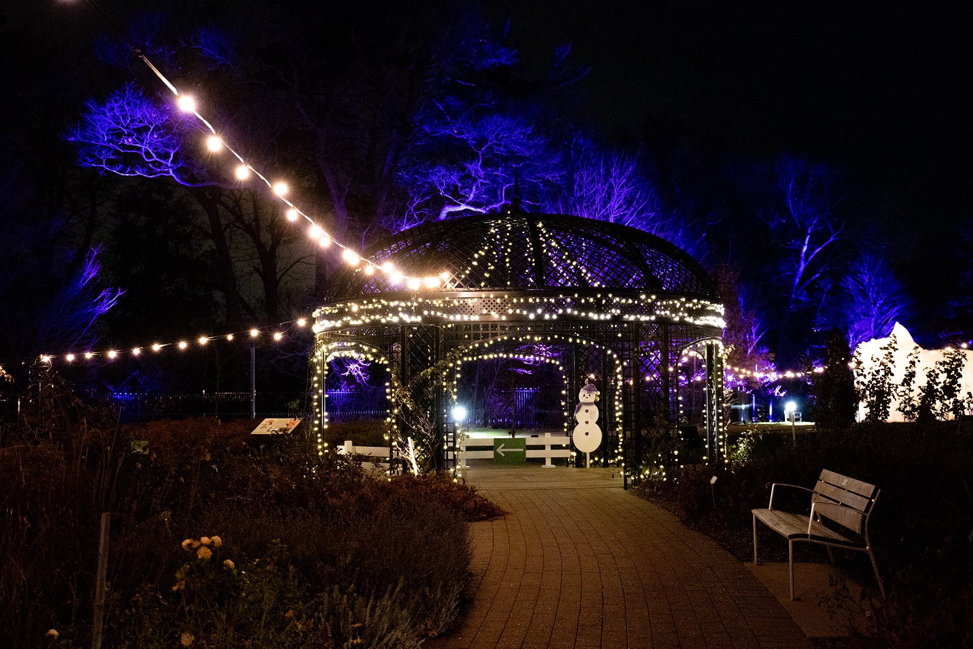 Large black gazebo decorate with twinkle lights in the rose garden